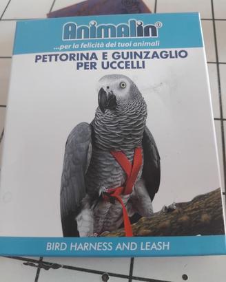 Pettorina Volatili