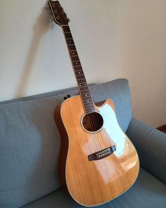 Chitarra Arrow