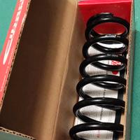 Molla Eibach Mono Honda/Kawasaki