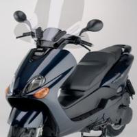 Yamaha Majesty 125 - Blocco motore