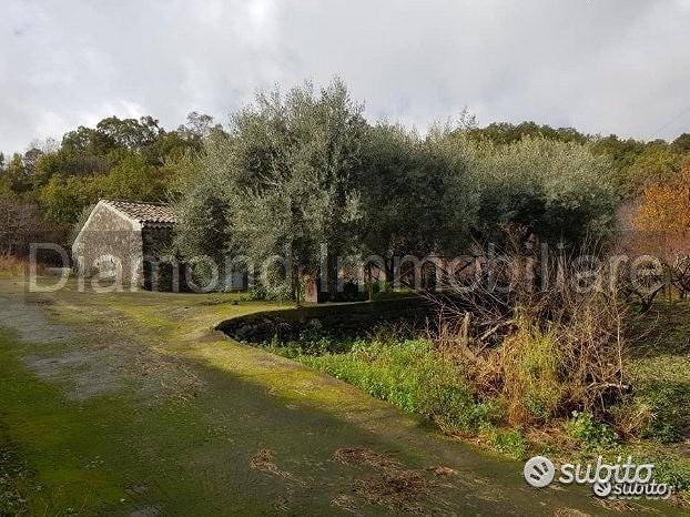 Terreno 5 ettari con fabbricato Piedimonte Etneo - Altro