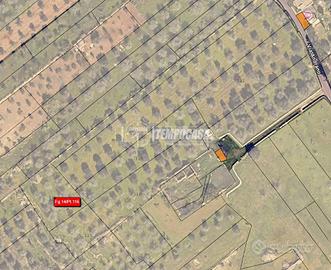 TERRENO AGRICOLO A TREPUZZI