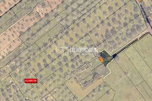 TERRENO AGRICOLO A TREPUZZI