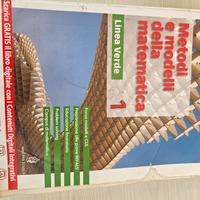 metodi e modelli della matematica 1