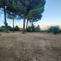 Terreno panoramico edificabile