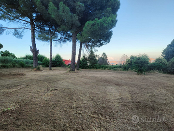 Terreno panoramico edificabile