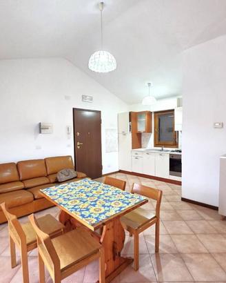 Appartamento di 60 m² con 3 locali a Massa Lombard