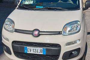 FIAT PANDA POP