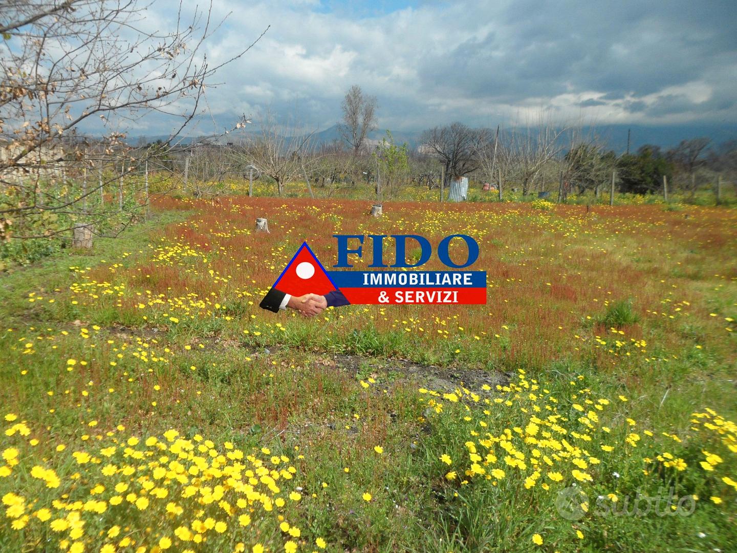 Terreno agricolo di 700mq - Vista 2