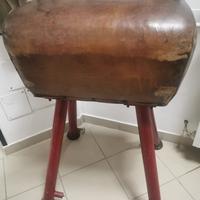 Cavallina per palestra