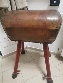 Cavallina per palestra