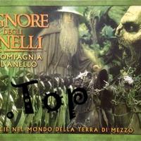 Signore degli Anelli gioco da tavolo GamesWorkShop