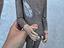 Immagine 6