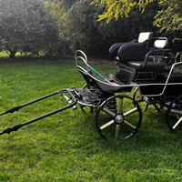 Carrozza maratona singolo/pariglia