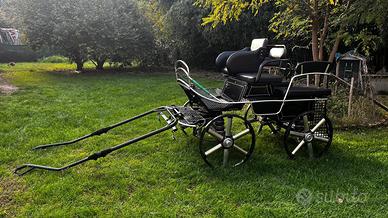 Carrozza maratona singolo/pariglia