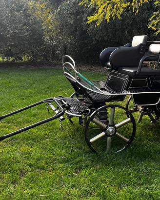 Carrozza maratona singolo/pariglia