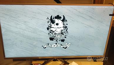 Monitor 4k 42 pollici Yashi fuori produzione 