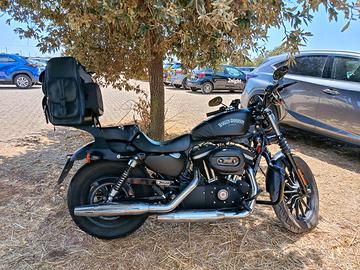Harley Davidson XL 883 N