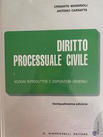 Diritto processuale civile