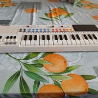 casio pt-80 