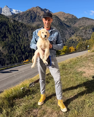Cuccioli di Golden Retriever con pedigree ENCI