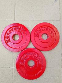 Set 3 dischi in ghisa da 1 kg Rovera