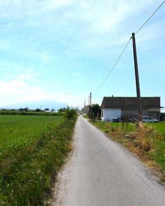 TER. AGRICOLO A EBOLI