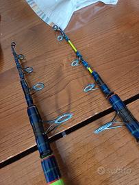 coppia canne Surfcasting