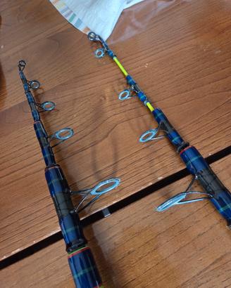 coppia canne Surfcasting