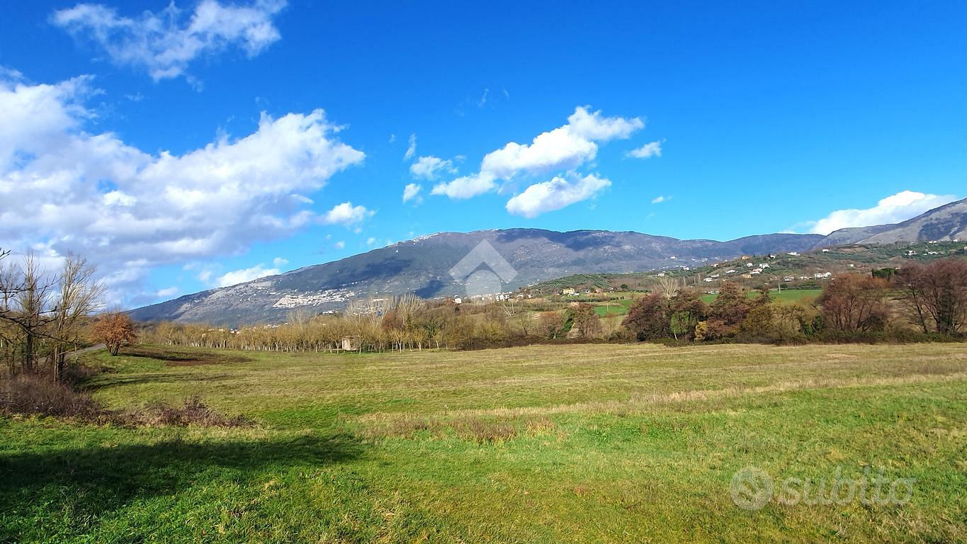 Terreno agricolo con casale a paliano - Altro