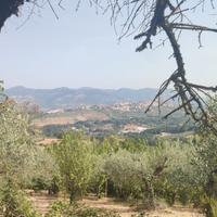 Terreno agricolo