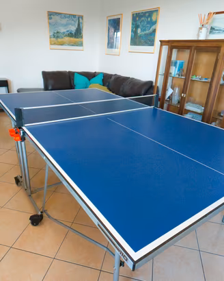 Tavolo da ping pong pongori