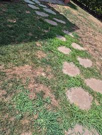 cambiamento x giardino