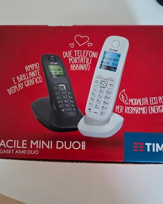 doppio telefono cordless