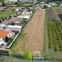 Terracina (LT) - Terreno con melograno | TR443
