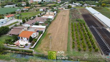 Terracina (LT) - Terreno con melograno | TR443