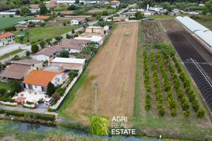 Terracina (LT) - Terreno con melograno | TR443