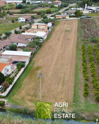 Terreno agricolo di 1 HA ca. con melograno