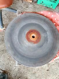 ruota affila coltelli