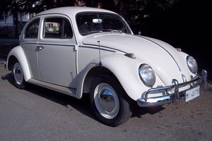 VOLKSWAGEN Maggiolino - 1963 - RESTAURO TOTALE -