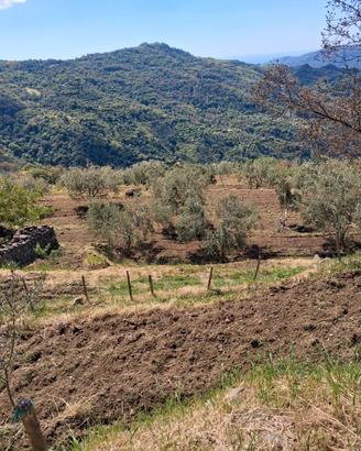 Terreno agricolo