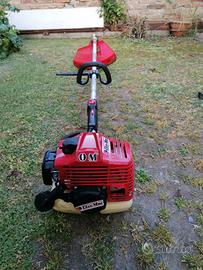 decespuliatore e tagliaerba