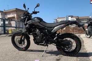 Beta alp x 4.0