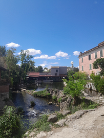 Imbianchino giardinaggio ecc