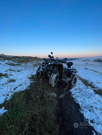 Quad Goes 400L 2025 targa gialla