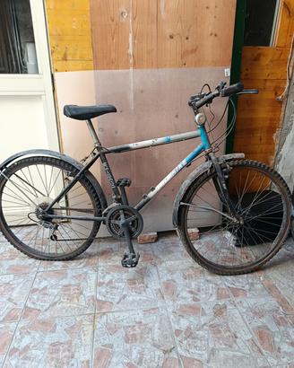Bicicletta Shimano, da restaurare