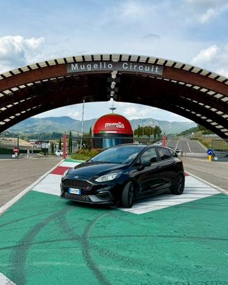 Ford Fiesta St Mk8 Performance Pack