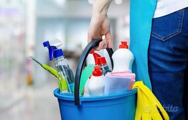 Pulizie domestiche e uffici
