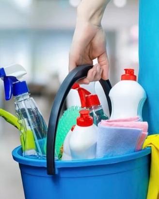 Pulizie domestiche e uffici