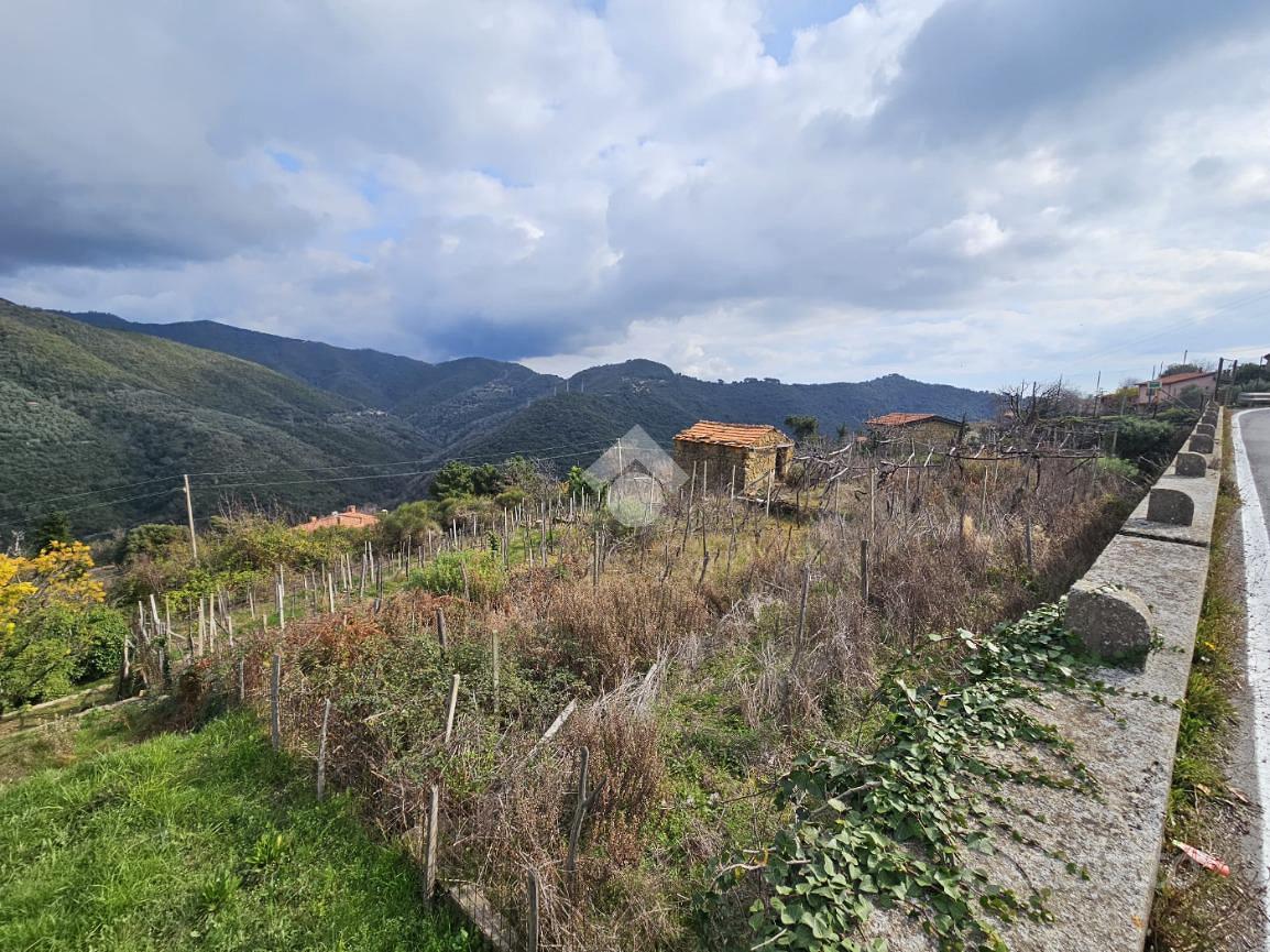 TER. RESIDENZIALE A CERIANA - Altro